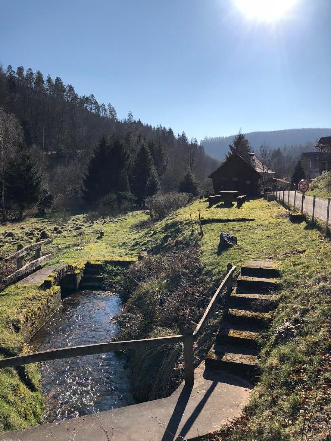 La Dependance De La Villa Des Oiseaux - La Petite Pierre Bagian luar foto
