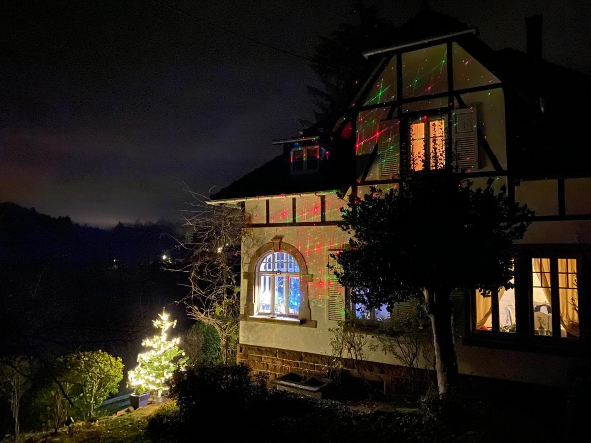 La Dependance De La Villa Des Oiseaux - La Petite Pierre Bagian luar foto