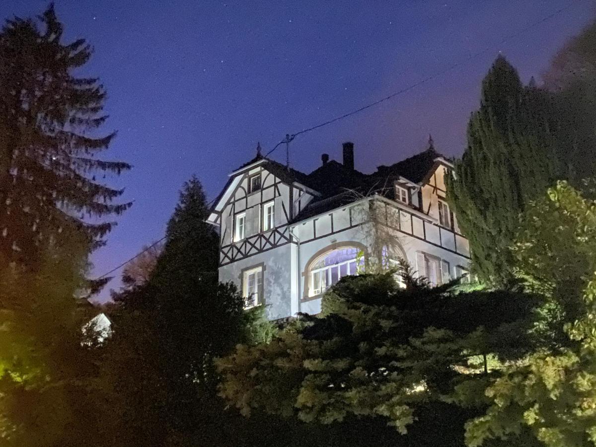 La Dependance De La Villa Des Oiseaux - La Petite Pierre Bagian luar foto