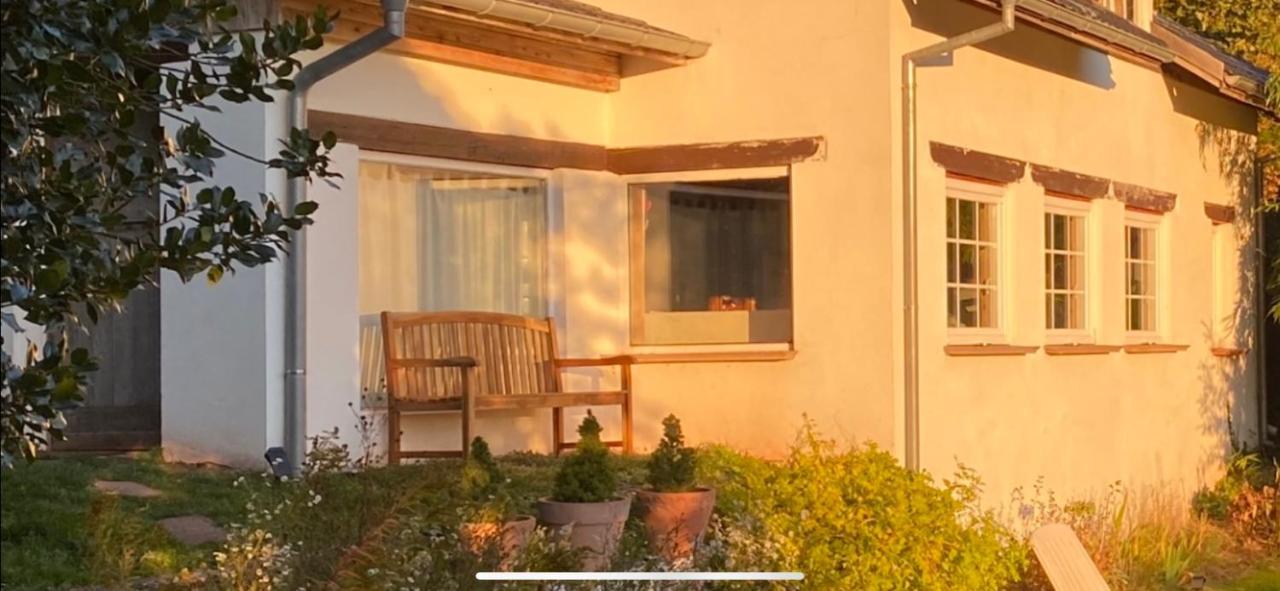 La Dependance De La Villa Des Oiseaux - La Petite Pierre Bagian luar foto