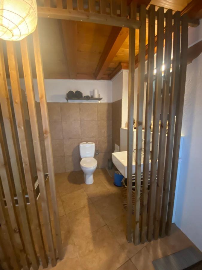 La Dependance De La Villa Des Oiseaux - La Petite Pierre Bagian luar foto