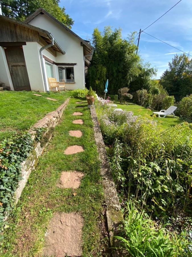 La Dependance De La Villa Des Oiseaux - La Petite Pierre Bagian luar foto