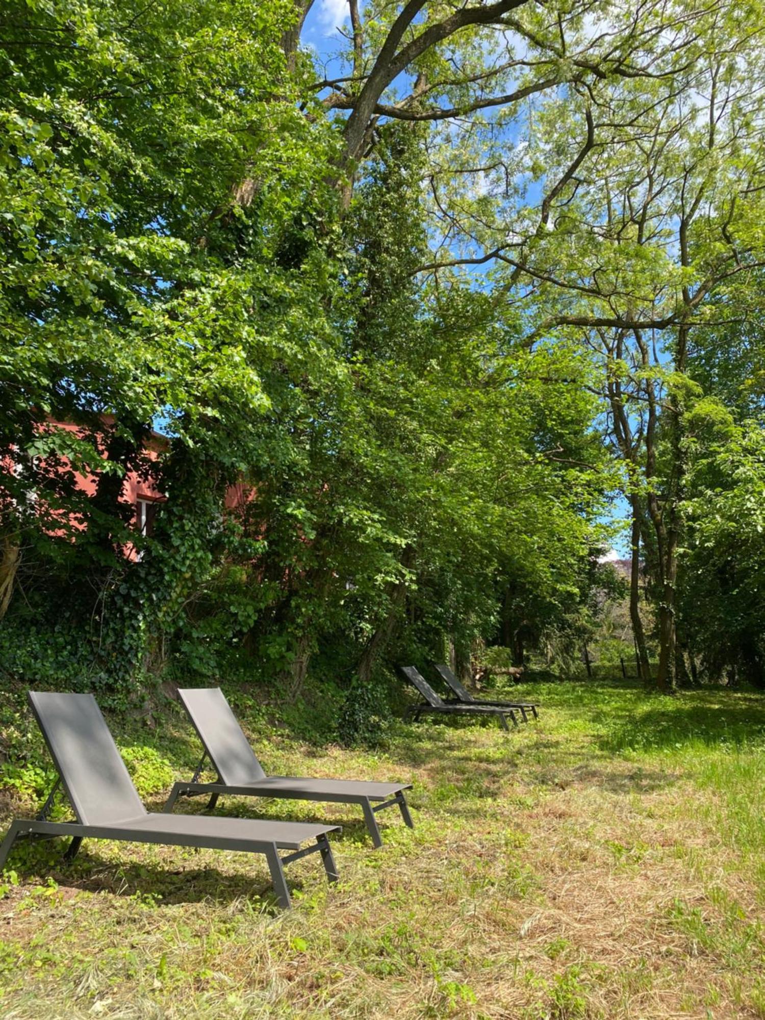 La Dependance De La Villa Des Oiseaux - La Petite Pierre Bagian luar foto