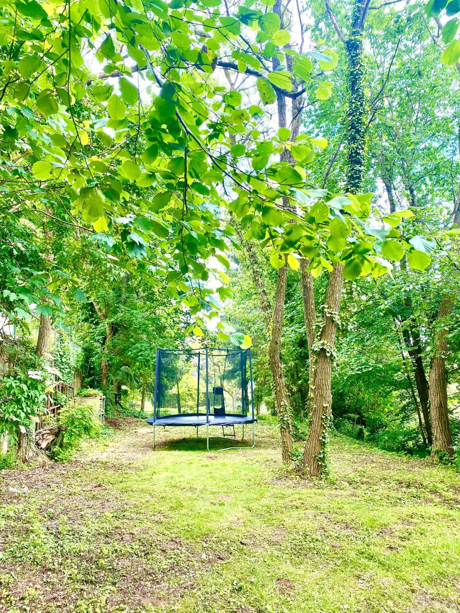 La Dependance De La Villa Des Oiseaux - La Petite Pierre Bagian luar foto