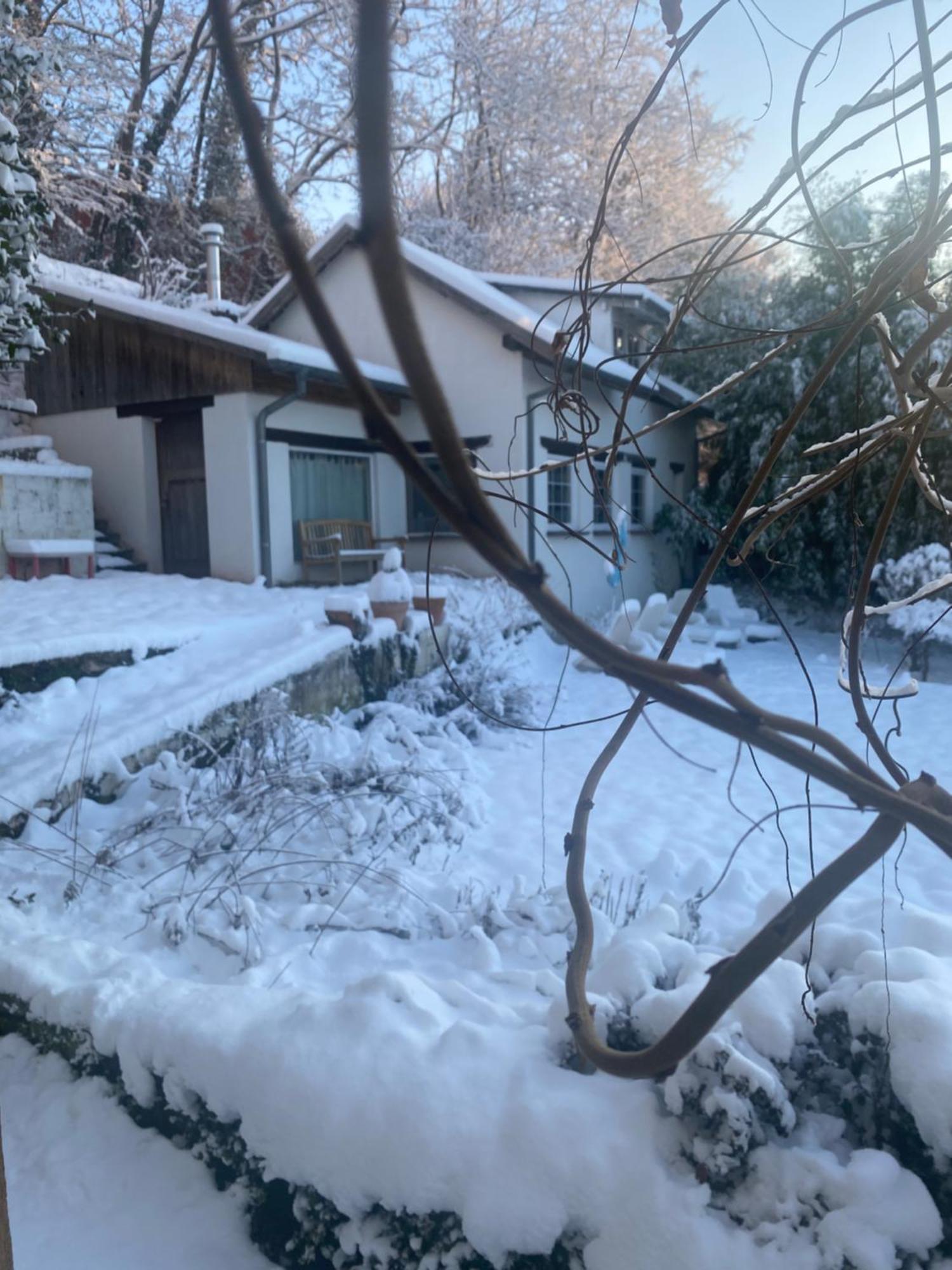 La Dependance De La Villa Des Oiseaux - La Petite Pierre Bagian luar foto