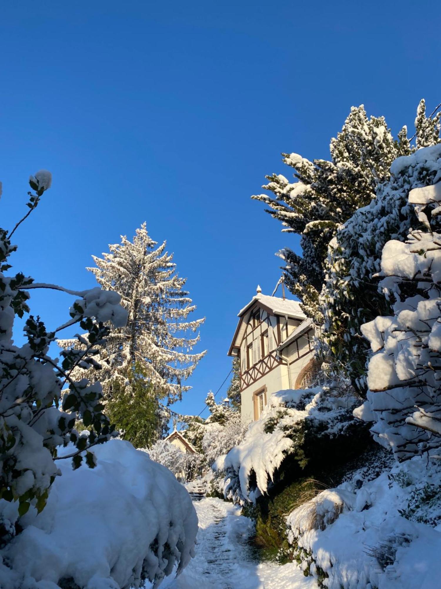 La Dependance De La Villa Des Oiseaux - La Petite Pierre Bagian luar foto