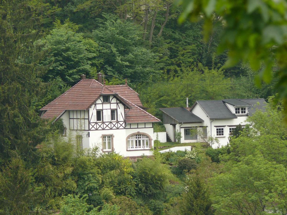 La Dependance De La Villa Des Oiseaux - La Petite Pierre Bagian luar foto