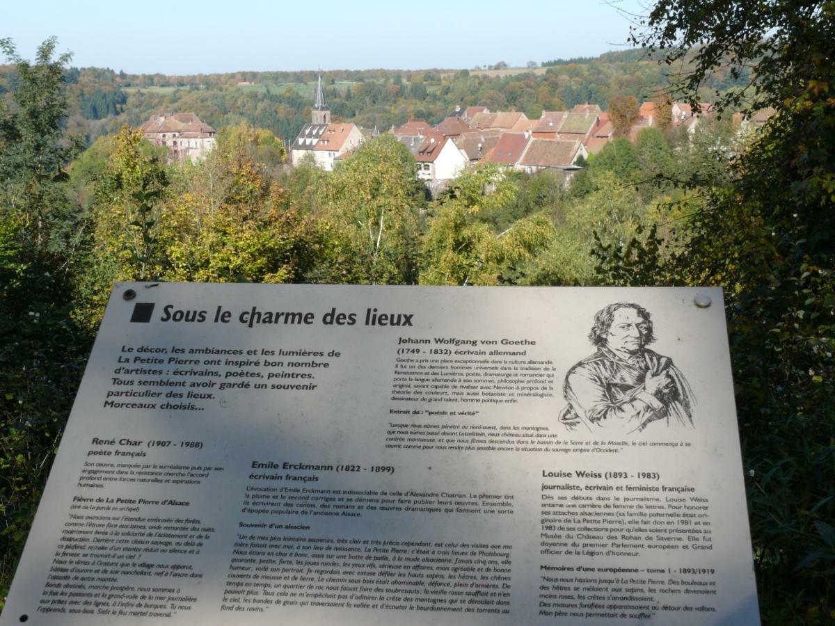 La Dependance De La Villa Des Oiseaux - La Petite Pierre Bagian luar foto